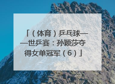 (体育)乒乓球——世乒赛:孙颖莎夺得女单冠军(6)