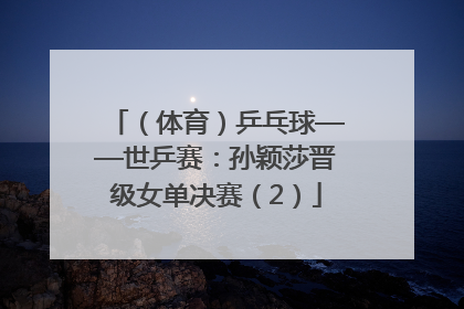 （体育）乒乓球——世乒赛：孙颖莎晋级女单决赛（2）