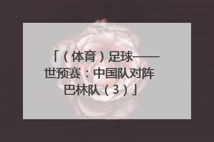 （体育）足球——世预赛：中国队对阵巴林队（3）