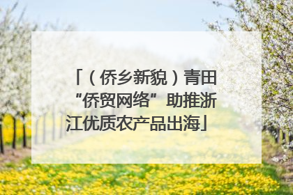 （侨乡新貌）青田“侨贸网络”助推浙江优质农产品出海