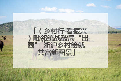 （乡村行·看振兴）毗邻统战破局“出圈” 浙沪乡村绘就共富新图景