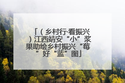 （乡村行·看振兴）江西靖安“小”浆果助绘乡村振兴“莓”好“蓝”图