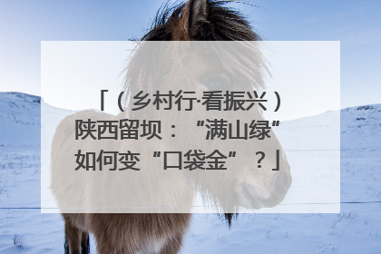 （乡村行·看振兴）陕西留坝：“满山绿”如何变“口袋金”？