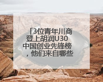 3位青年川商登上胡润U30中国创业先锋榜，他们来自哪些赛道？