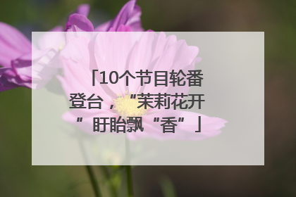10个节目轮番登台，“茉莉花开”盱眙飘“香”