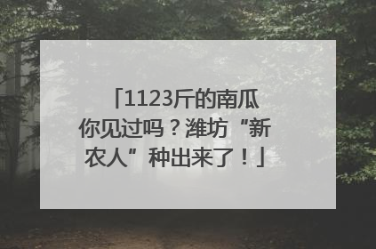 1123斤的南瓜你见过吗？潍坊“新农人”种出来了！