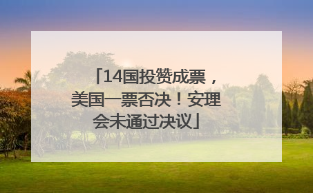 14国投赞成票，美国一票否决！安理会未通过决议