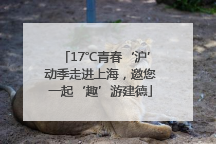 17℃青春‘沪’动季走进上海，邀您一起‘趣’游建德