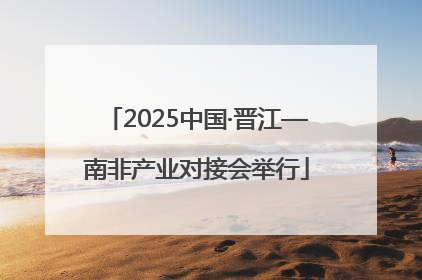 2025中国·晋江—南非产业对接会举行