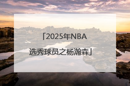 2025年NBA选秀球员之杨瀚森