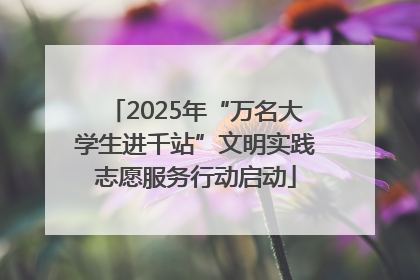 2025年“万名大学生进千站”文明实践志愿服务行动启动