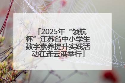 2025年“领航杯”江苏省中小学生数字素养提升实践活动在连云港举行