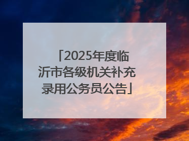 2025年度临沂市各级机关补充录用公务员公告