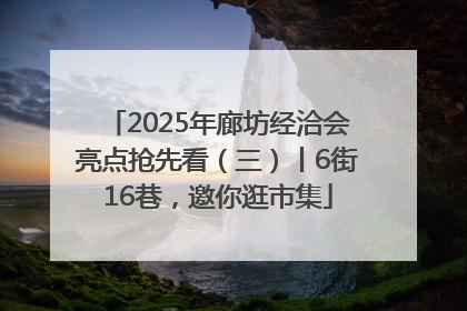 2025年廊坊经洽会亮点抢先看（三）丨6街16巷，邀你逛市集