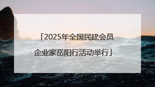 2025年全国民建会员企业家岳阳行活动举行
