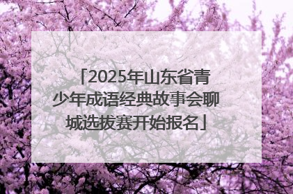 2025年山东省青少年成语经典故事会聊城选拔赛开始报名