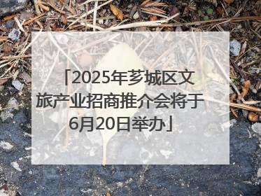 2025年芗城区文旅产业招商推介会将于6月20日举办