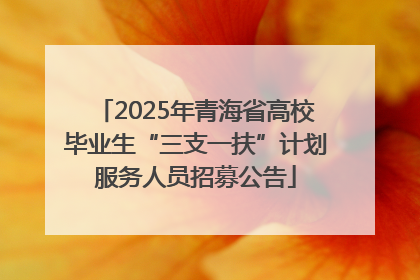 2025年青海省高校毕业生“三支一扶”计划服务人员招募公告