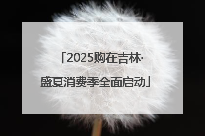 2025购在吉林·盛夏消费季全面启动