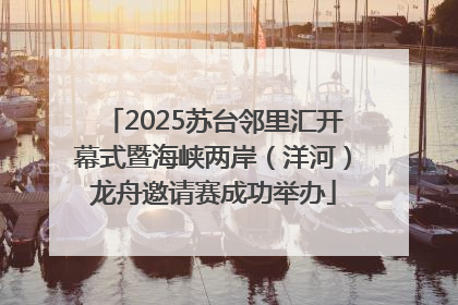 2025苏台邻里汇开幕式暨海峡两岸（洋河）龙舟邀请赛成功举办