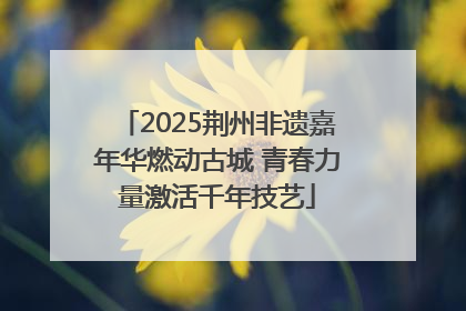 2025荆州非遗嘉年华燃动古城 青春力量激活千年技艺