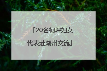 20名柯坪妇女代表赴湖州交流