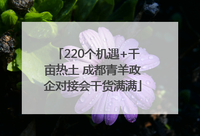 220个机遇+千亩热土 成都青羊政企对接会干货满满