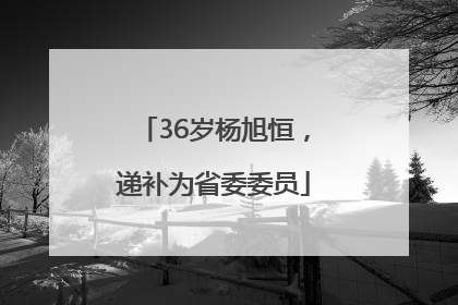 36岁杨旭恒，递补为省委委员