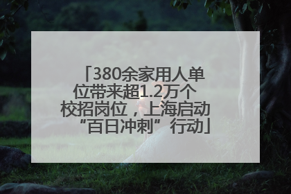 380余家用人单位带来超1.2万个校招岗位，上海启动“百日冲刺”行动