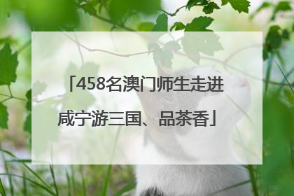 458名澳门师生走进咸宁游三国、品茶香