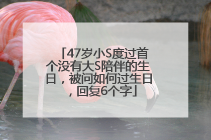 47岁小S度过首个没有大S陪伴的生日，被问如何过生日，回复6个字