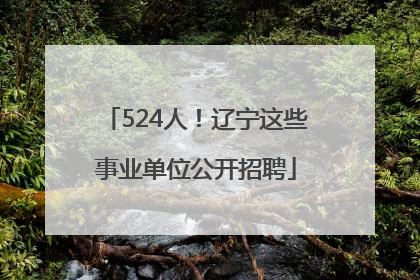 524人！辽宁这些事业单位公开招聘