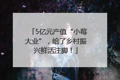 5亿元产值“小莓大业”，给了乡村振兴鲜活注脚！