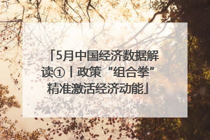 5月中国经济数据解读①丨政策“组合拳”精准激活经济动能
