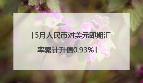 5月人民币对美元即期汇率累计升值0.93%