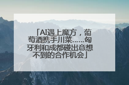 AI遇上魔方，葡萄酒携手川菜……匈牙利和成都碰出意想不到的合作机会