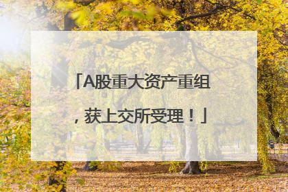 A股重大资产重组，获上交所受理！