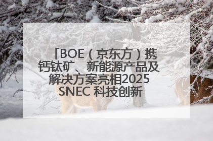 BOE（京东方）携钙钛矿、新能源产品及解决方案亮相2025 SNEC 科技创新赋能行业绿色发展