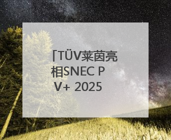 TÜV莱茵亮相SNEC PV+ 2025，赋能新能源产业高质量发展