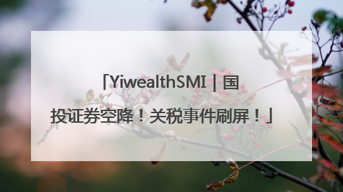 YiwealthSMI｜国投证券空降！关税事件刷屏！